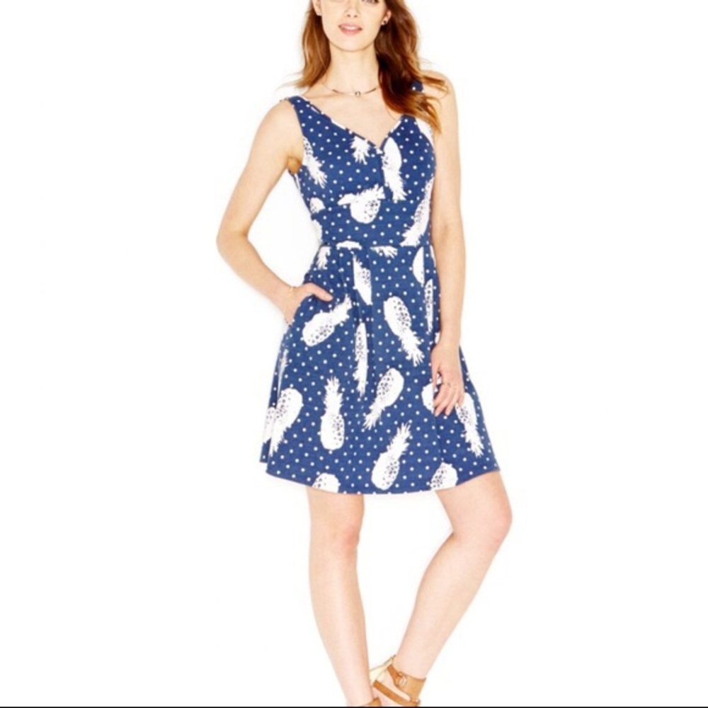 Picnic Pineapple Dress